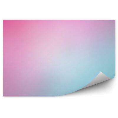 Fototapeta na stenu Morská ružová rozmazaný gradient