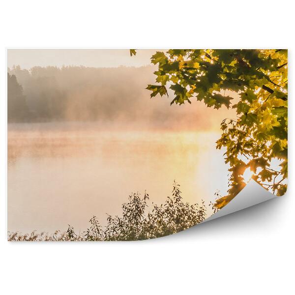 Fototapeta Park jazero listy stromu zelená tráva