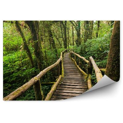 Fototapeta na stenu Krajina džungľa drevený most mach listy