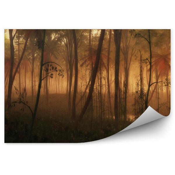 Fototapeta na stenu Kaluž vody v hmlistom tropickom lese