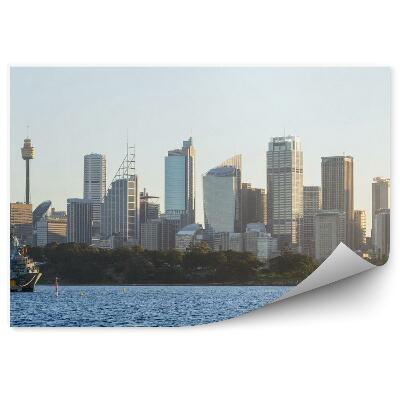 Fototapeta na stenu Mrakodrapy stromy lode oceán Sydney