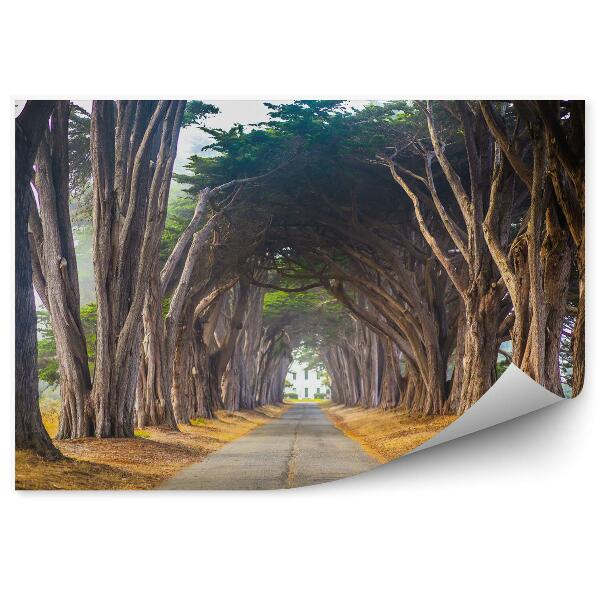 Fototapeta na stenu Stromový tunel 3d