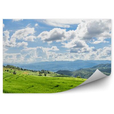 Fototapeta Zelené Ryžové Terasy Príroda Thajsko