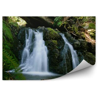 Fototapeta Vodopády v lese strom príroda