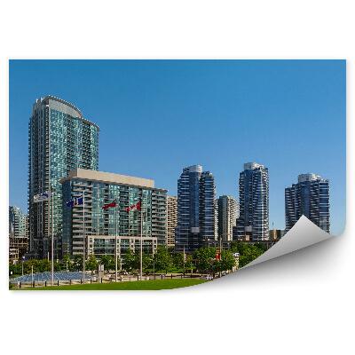 Fototapeta Toronto panoráma mesta olympijský park tráva