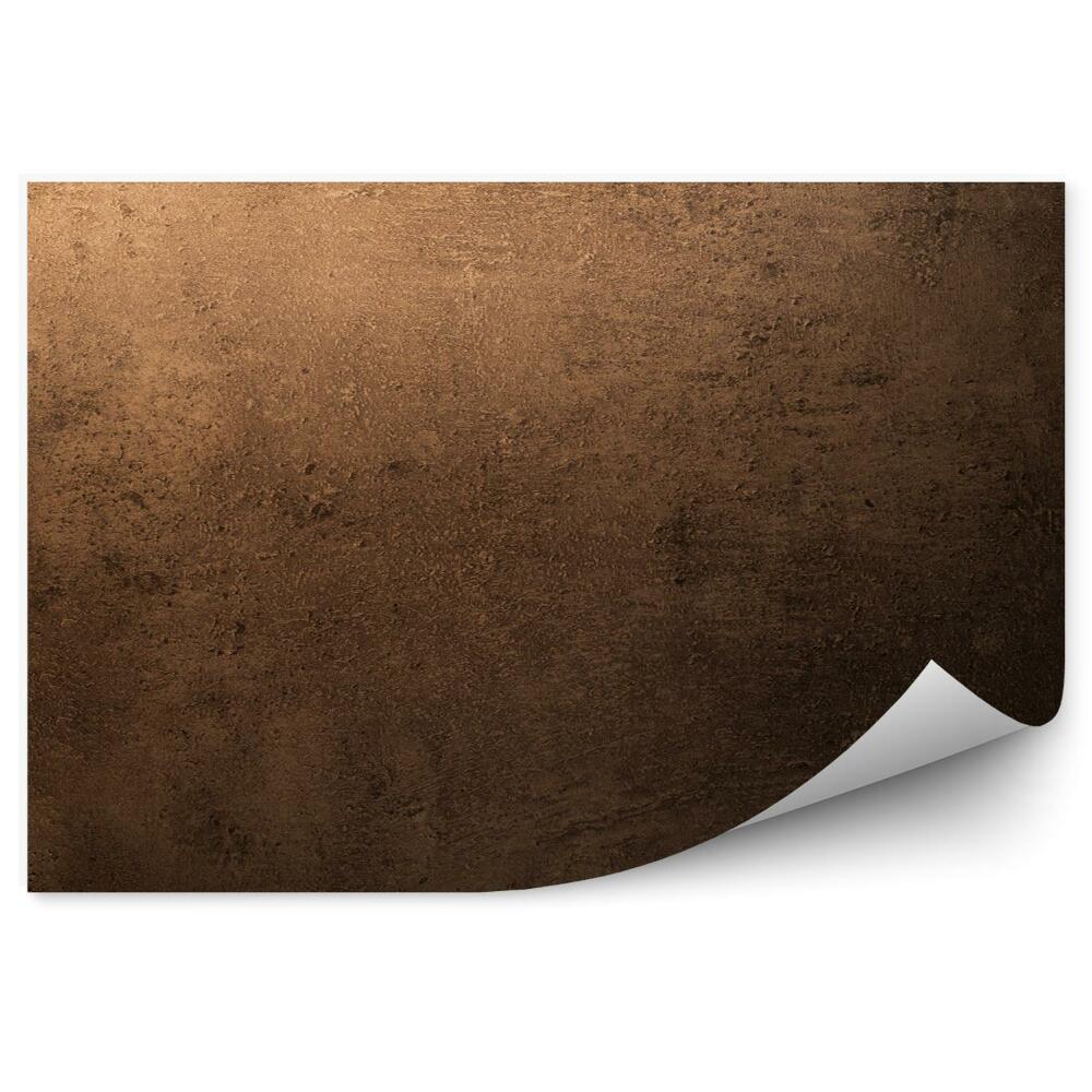 Fototapeta na stenu Hnedý betónový kartón