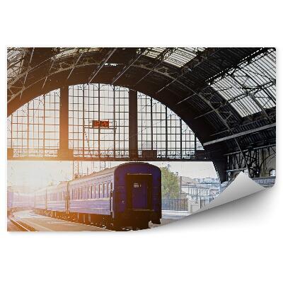 Fototapeta na stenu Železniška postaja Lvov vlak žarki svetlobe