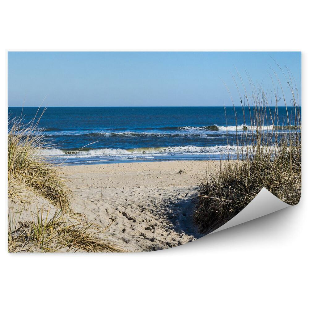 Fototapeta Vlny Oceánu Pláž Duny Tráva Piesok Virgínia