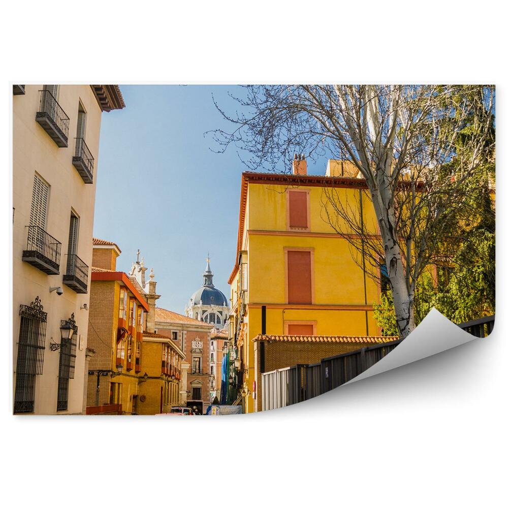Fototapeta na stenu Barvne stavbe madridska katedrala