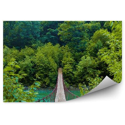 Fototapeta na stenu Lanový Most Stromy Rastliny Hory Rieka