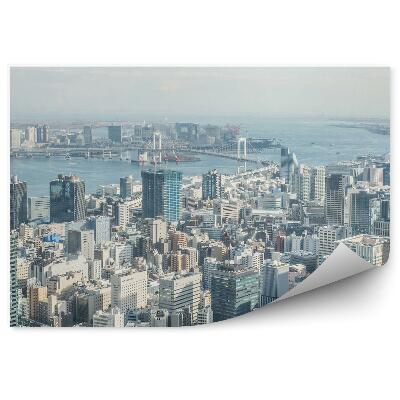 Fototapeta Pohľad z vtáčej perspektívy Tokio Japonsko