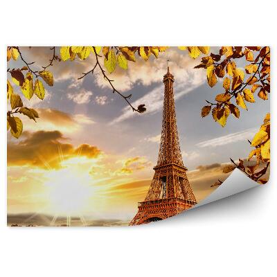 Fototapeta Ladje sequan vegetacija pariz