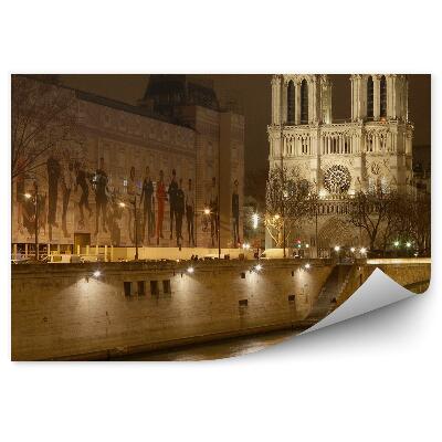 Fototapeta na stenu Notre Dame mosty rieka stromy Paríž budova