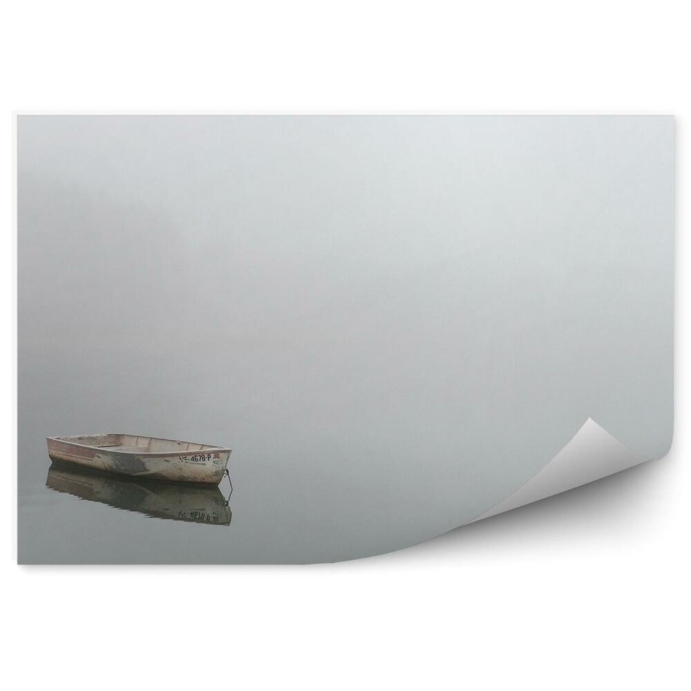 Fototapeta na stenu Loď Voda Obloha Stromy Hmla