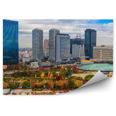 Fototapeta na stenu Pohľad z vtáčej perspektívy Tokio Japonsko stromy obloha mraky