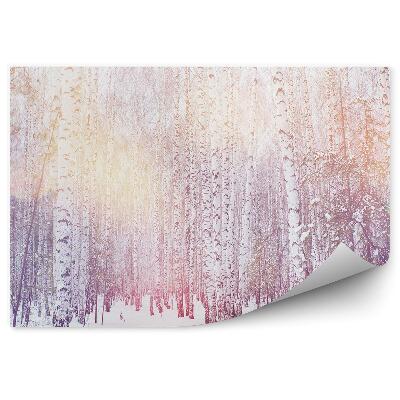 Fototapeta na stenu Svetlo žiara slnko zimný les sneh stromy