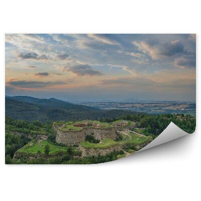 Fototapeta na stenu Zelená vegetácia stromy lesy sudety