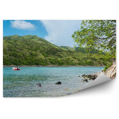 Fototapeta Tropický záliv zelená voda