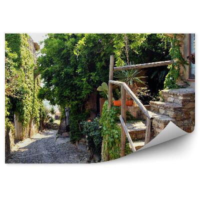 Fototapeta Italija zgodovinska ulica vegetacija