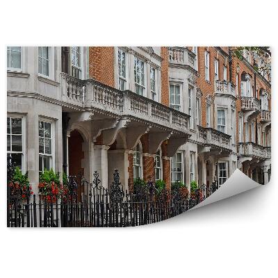 Fototapeta na stenu Stanovanjska hiša vrsta ograjenih stavb