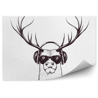 Fototapeta Jeleň v hudobných slúchadlách 