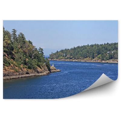 Fototapeta na stenu Vianočné stromčeky na ostrovoch rastliny stromy voda