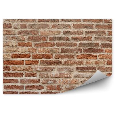 Fototapeta Stará červená tehlová stena