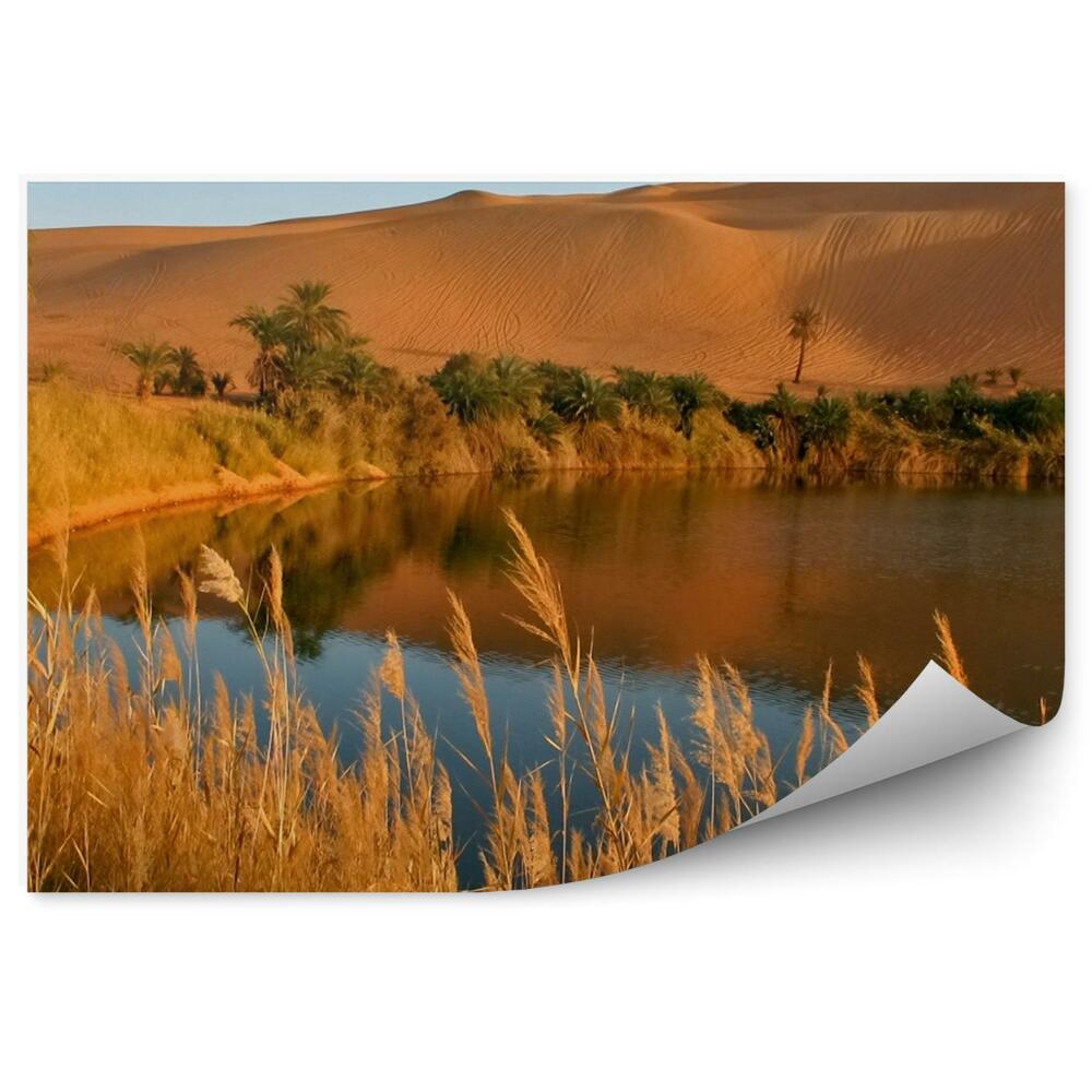Fototapeta na stenu Africké Jazero Oáza Tráva Pieskové Palmy