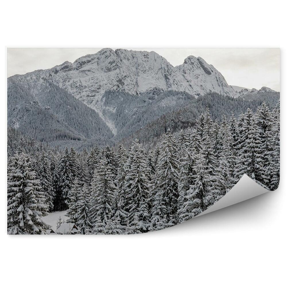Fototapeta Giewont ihličnaté stromy zimný sneh obloha mraky tatry