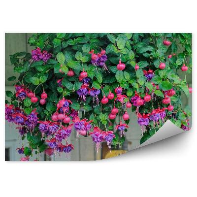 Fototapeta na stenu Ružovo Fialové Kvety Fuchsie Fuchsie Listy Okno Tehlová Stena