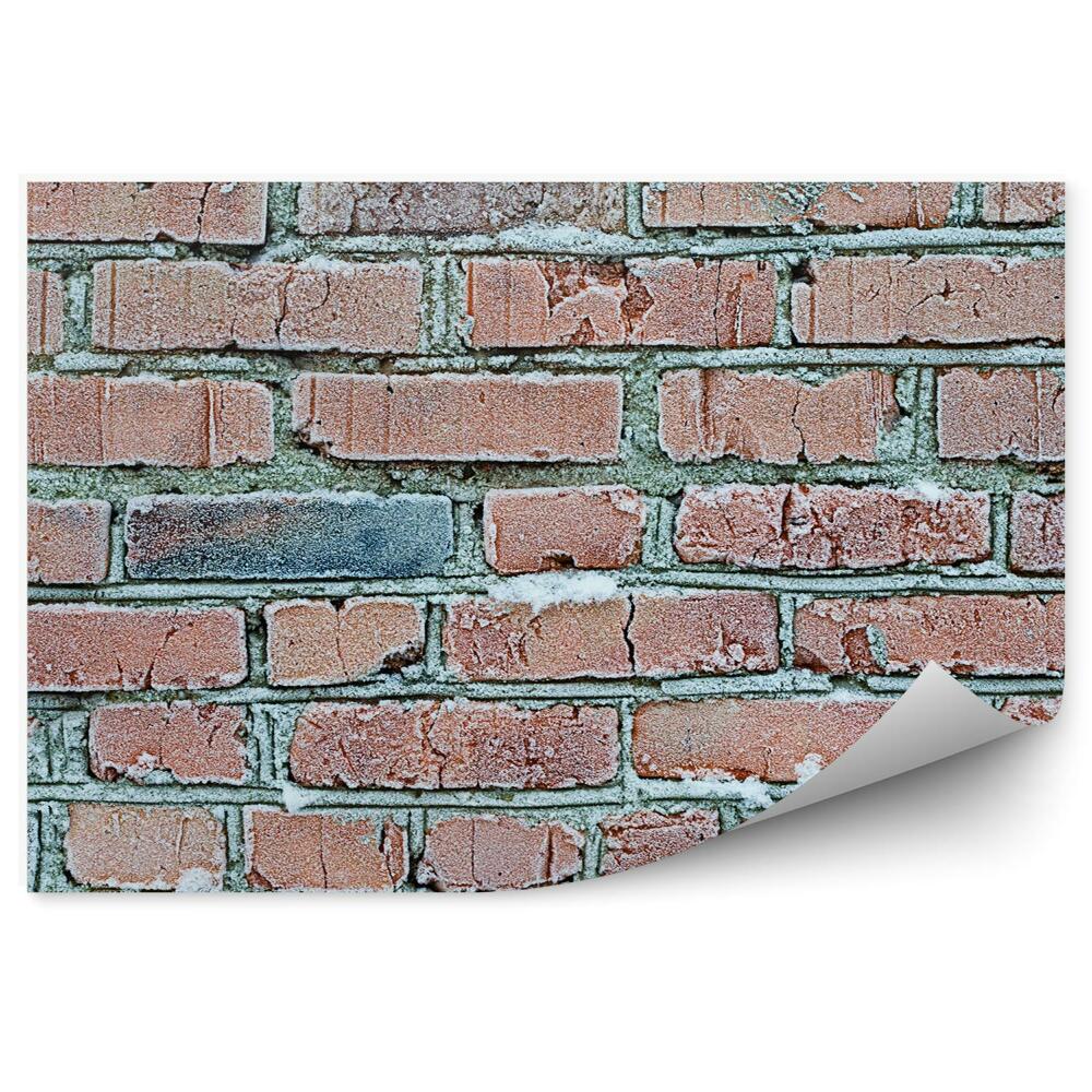 Fototapeta Zamrznutá tehlová stena