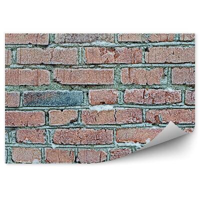 Fototapeta Zamrznutá tehlová stena