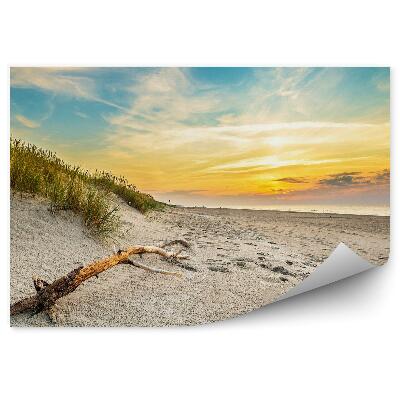 Fototapeta na stenu Duny Tráva Stromy Mraky Obloha Západ Slnka