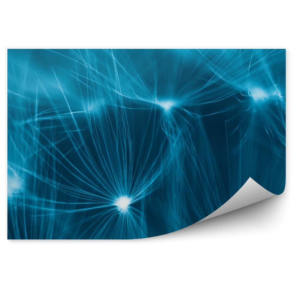 Fototapeta Dúhovka Modré Pozadie