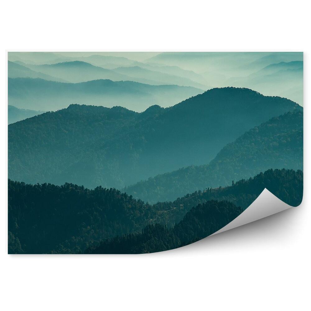 Fototapeta Pohľad Na Krajinu Les Hory Hmla