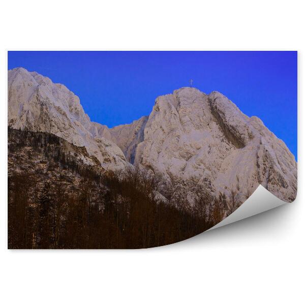 Fototapeta Giewont pohľad ihličnaté stromy tatry
