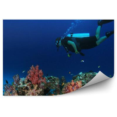 Fototapeta Koralový Útes Potápač Vodné Ryby