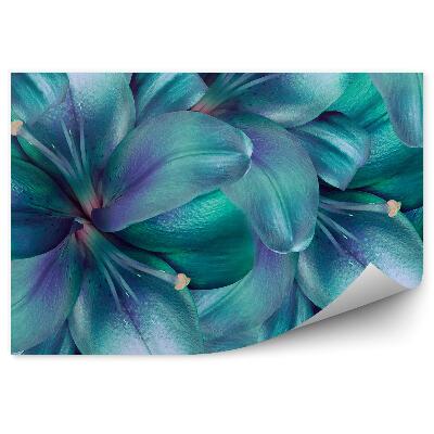 Fototapeta na stenu Tyrkysový A Biely Kvet Ľalie Pozadie