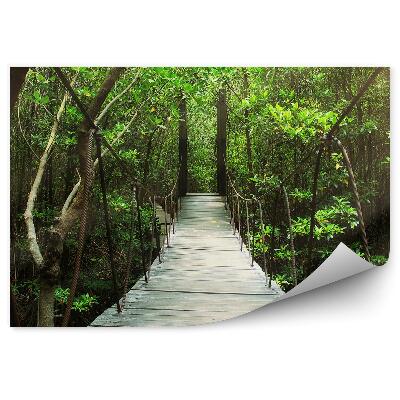 Fototapeta Zelený les v letnom svetle dopadajúcom na visutý most