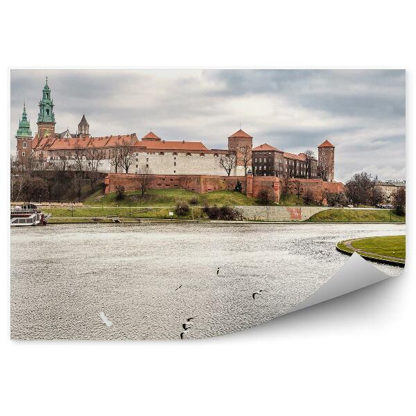 Fototapeta na stenu Pohľad z vtáčej perspektívy rieka Visla Krakov mraky rastliny