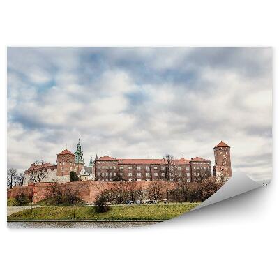 Fototapeta Pohľad z vtáčej perspektívy rieka Visla Krakov lode Visla mraky rastliny