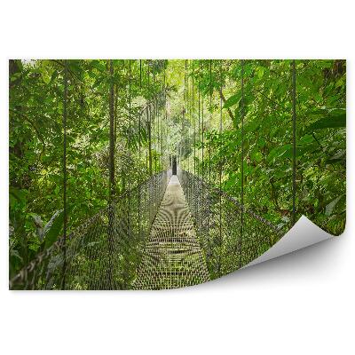 Fototapeta na stenu Cesta k visutému mostu v pralese