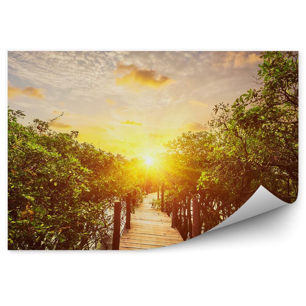 Fototapeta na stenu Dažďový prales voda drevený most slnko