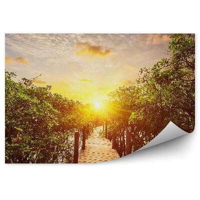 Fototapeta na stenu Dažďový prales voda drevený most slnko