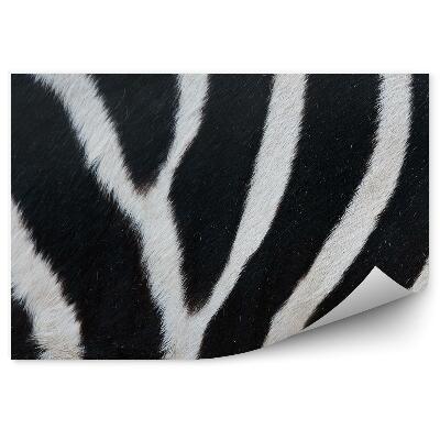 Fototapeta na stenu Čiernobiele pruhy zebra kožušina