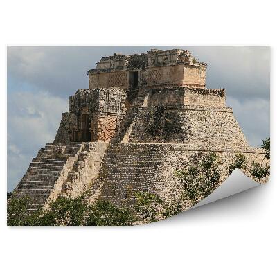 Fototapeta na stenu Naravna drevesa, ki obkrožajo starodavni tempelj