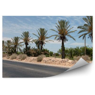 Fototapeta na stenu Asfaltna cesta palme rastline pesek