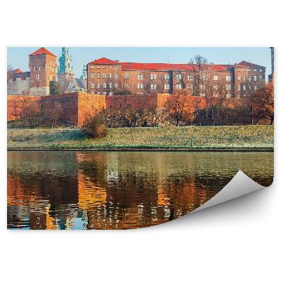 Fototapeta na stenu Hrad rieka Visla stromy