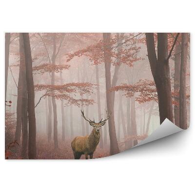 Fototapeta na stenu Jesenný les s jeleňou hmlou