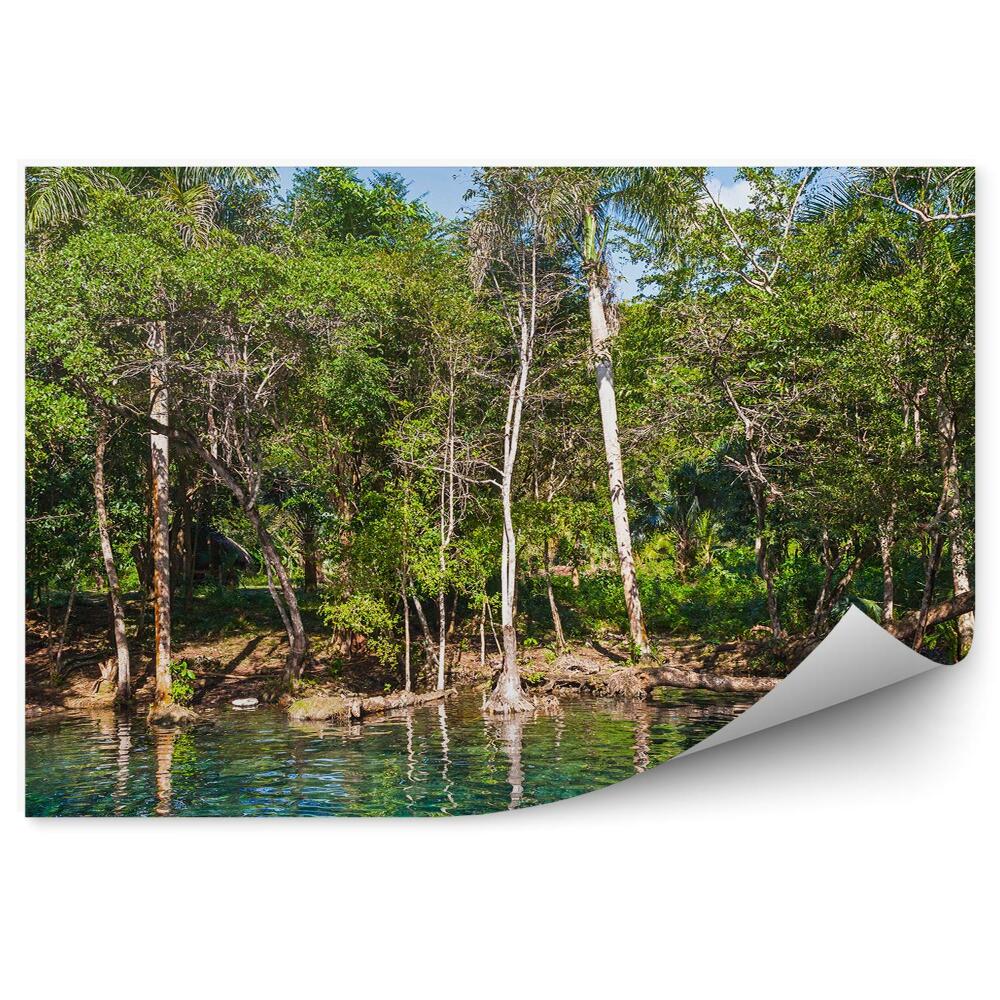 Fototapeta Jazero v tropickom lese